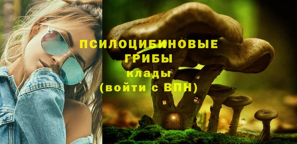 крисы Абинск