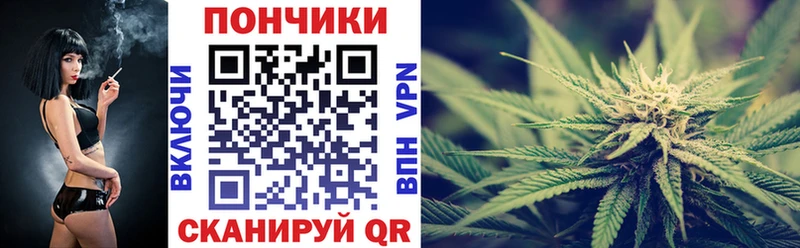 Конопля индика Беломорск